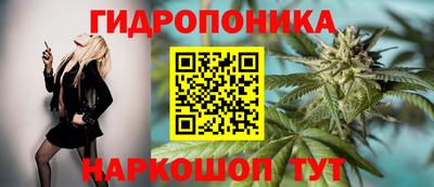 PSILOCYBIN Малоярославец
