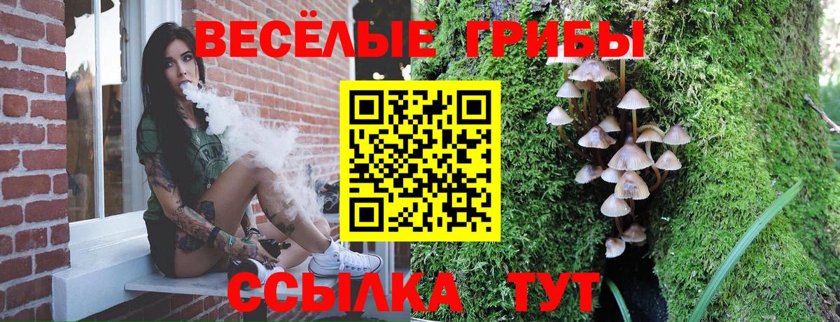 Псилоцибиновые грибы мицелий Жигулёвск